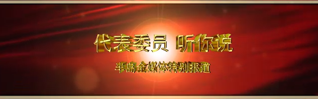 “两会直播间”特别节目《代表委员听你说》政府应加大投入力度 让传统文化落实处走长远