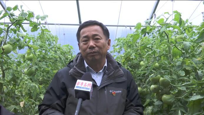 郯城县庙山镇大埠一村第一书记王龙河